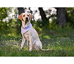 Bandana rinfrescante Frostie