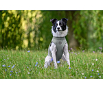 T-shirt rinfrescante per cani Frostie