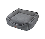 Cuccia per cani Square