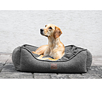 Cuccia per cani Square