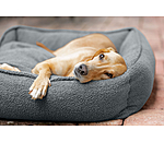 Cuccia per cani Square