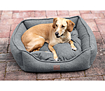 Cuccia per cani Square