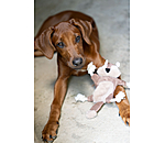 Scoiattolo peluche per cani