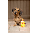 Giocattolo per cani Stecco gelato con squeaker