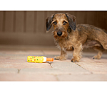 Giocattolo per cani Stecco gelato con squeaker