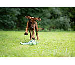 Giocattolo per cani Octopus