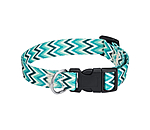 Set collare &  guinzaglio Zap