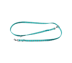 Set collare &  guinzaglio Zap