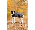 Cappotto per cani con sistema Liner Northwood
