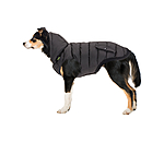 Cappotto invernale Lightweight per cani Anton, 160 g