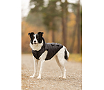 Cappotto invernale Lightweight per cani Anton, 160 g