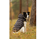 Cappotto invernale Lightweight per cani Anton, 160 g