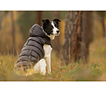Cappotto invernale Lightweight per cani Anton, 160 g