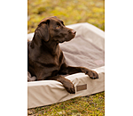 Cuccia per cani Komet