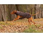 Cappotto con pelliccia sintetica per cani Frido