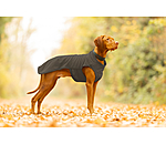 Cappotto in pile per cani Basic