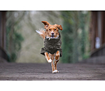 Cappotto combinato Performance Stretch per cani Baldo, 160 g