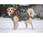 Cappotto invernale per cani Archie Snow Drift, 200 g