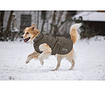 Cappotto invernale per cani Archie Snow Drift, 200 g
