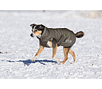 Cappotto invernale per cani Archie Snow Drift, 200 g