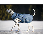 Cappotto invernale per cani Archie Snow Drift, 200 g