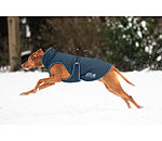 Cappotto invernale per cani Archie Snow Drift, 200 g