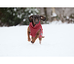 Cappotto invernale per cani Archie Snow Drift, 200 g