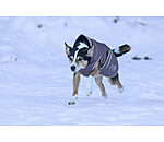 Cappotto invernale per cani Archie Snow Drift, 200 g
