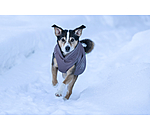 Cappotto invernale per cani Archie Snow Drift, 200 g