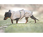 Cappotto riflettente con pile per bassotti George