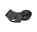 Cappotto invernale per bassotti Henry, 200 g