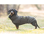 Cappotto invernale per bassotti Henry, 200 g