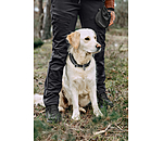 Pantaloni outdoor funzionali Northpine