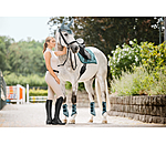 Stinchiere funzionali Swiss Design, posteriori