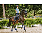 Stinchiere funzionali Swiss Design, posteriori