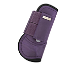 Paratendini Sophistication