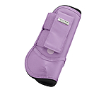 Paratendini Sophistication