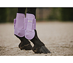 Paratendini Sophistication