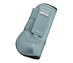 Paratendini Sophistication