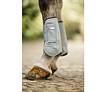 Paratendini Sophistication