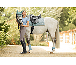 Paratendini Sophistication