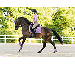 Paranocche Sophistication