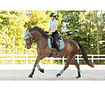 Stinchiere funzionali Mesh-Technology, posteriori