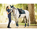Stinchiere da dressage Twotone, anteriori