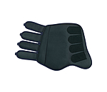 Stinchiere da dressage Twotone, posteriori