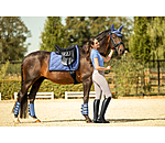 Stinchiere da dressage Twotone, posteriori