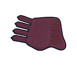 Stinchiere da dressage Twotone, posteriori