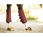 Stinchiere da dressage Twotone, posteriori