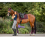 Stinchiere da dressage Twotone, posteriori