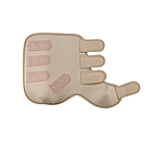 Stinchiere Glitter Stone, posteriori
